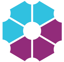 Digital Leadership Institute